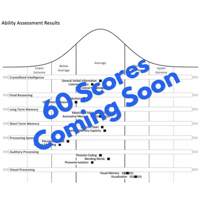 Includes all future updates.